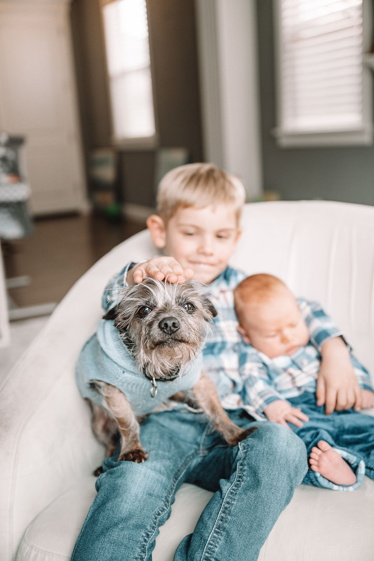 Newborn Photography | PJ Petersen Photography